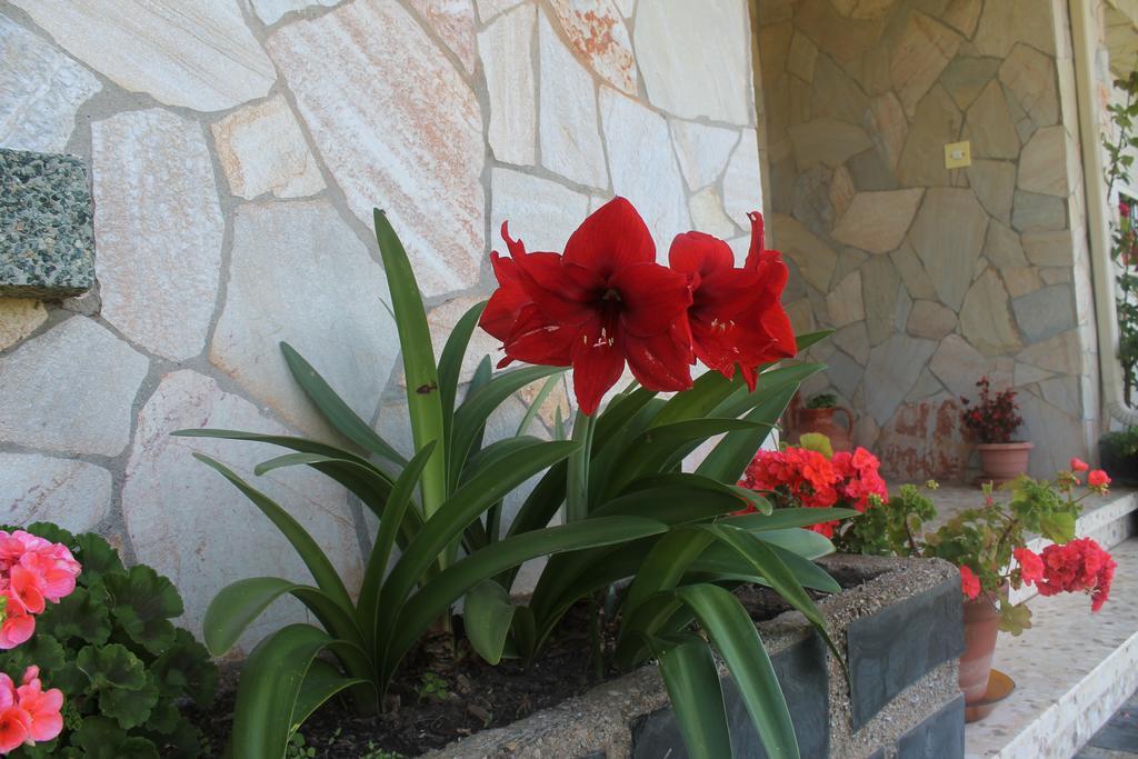 Pension Riego De Ambros Екстер'єр фото
